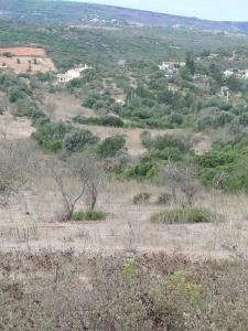 Lagos, Faro 8600-188, Portugal