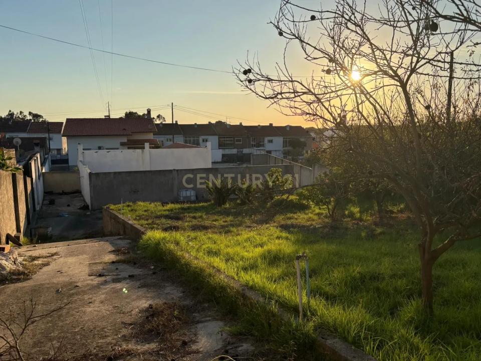 Aveiro, Aveiro 3800-384, Portugal