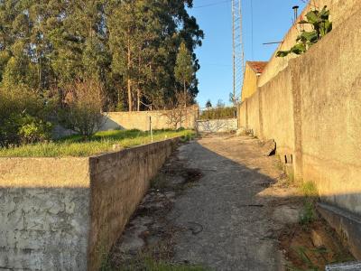 Aveiro, Aveiro 3800-384, Portugal