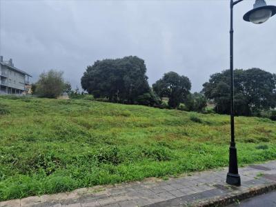 Asturias, Principado De Asturias 33500, Spain