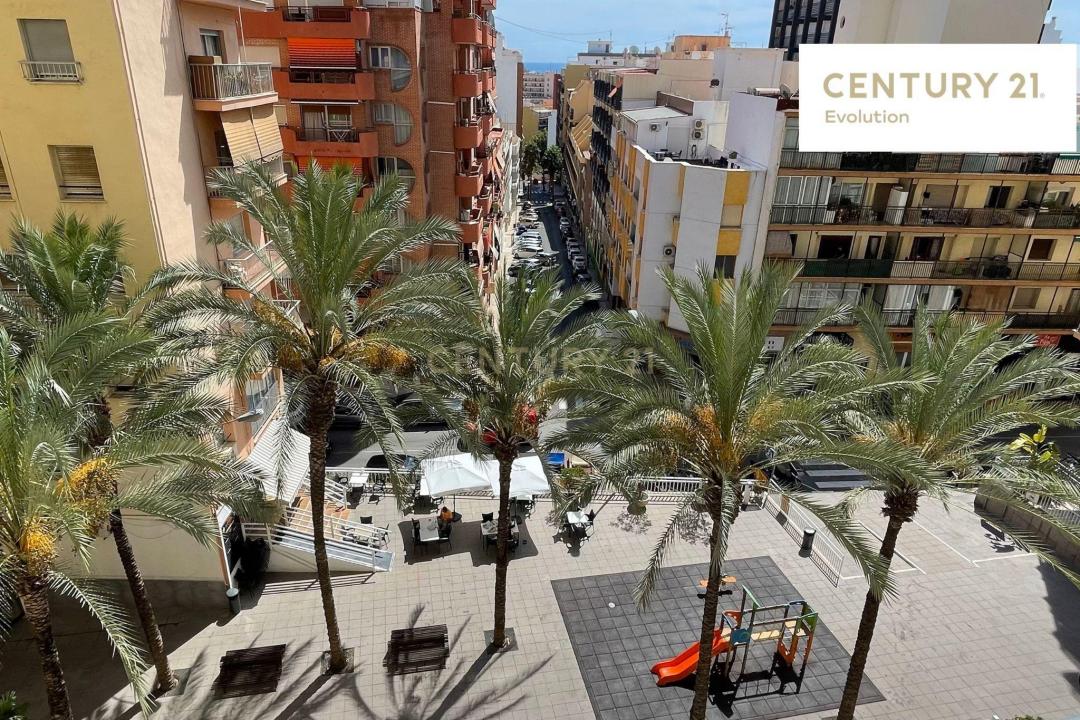 Alacant/Alicante, Comunitat Valenciana 03710, Espagne
