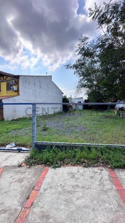 LAS PALMERAS , Recoleta, Asunción 00001, פרגוואי