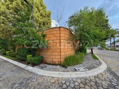 PARQUE SANTO DOMINGO, LOMAS DE ANGELÓPOLIS III ,, Ocoyucan, Puebla 72850, Mexico