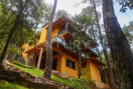 ECOLOGÌA 31,, Mazamitla, Jalisco 49500, México