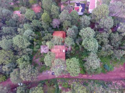 ECOLOGÌA 31,, Mazamitla, Jalisco 49500, México