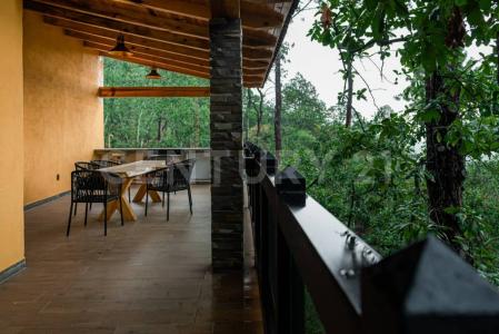 ECOLOGÌA 31,, Mazamitla, Jalisco 49500, México