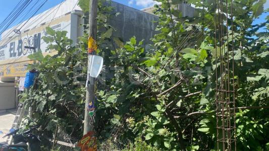 Chilpancingo De Los Bravo, ゲレロ 39000, メキシコ