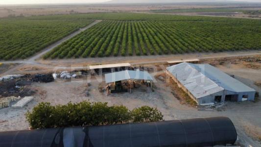 González, Tamaulipas 89740, Mexico