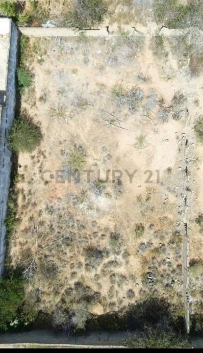 Avenida los campitos N39, Porlamar, Nueva Esparta 6301, 委内瑞拉