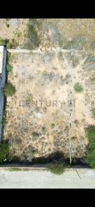 Avenida los campitos N39, Porlamar, Nueva Esparta 6301, 委内瑞拉