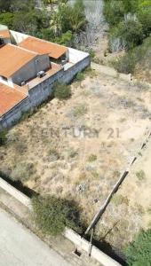 Avenida los campitos N39, Porlamar, Nueva Esparta 6301, 委内瑞拉