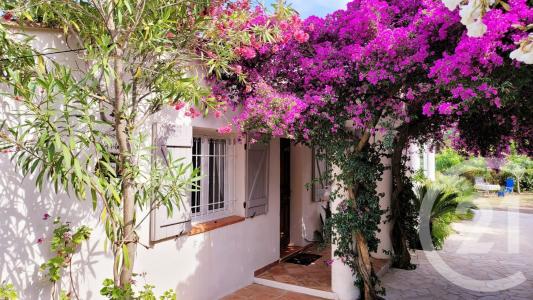 Ste Maxime, Provence-Alpes-Côte D'Azur 83120, Francia