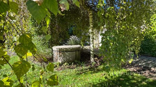 Svatá, Bošovice, Vyškov 68354, República Checa