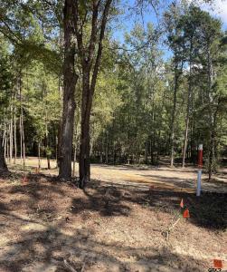 TBD E FM 852, Winnsboro, Texas 75494