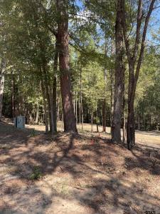 TBD E FM 852, Winnsboro, Texas 75494