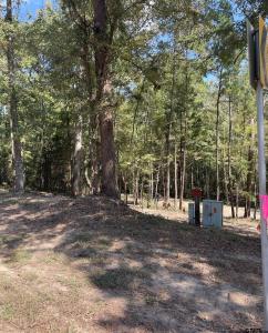 TBD E FM 852, Winnsboro, Texas 75494