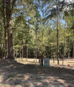 TBD E FM 852, Winnsboro, Texas 75494