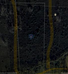 Argonne Ave 5 Acres Argonne Avenue, Brownstown Charter Township, Michigan 48134, USA