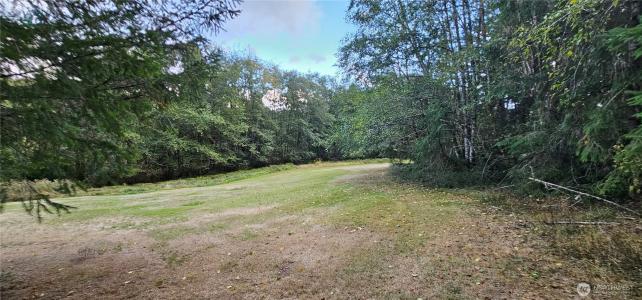 10115 Edgewood Drive, Anderson Island, וושינגטון 98303, ארצות הברית של אמריקה 