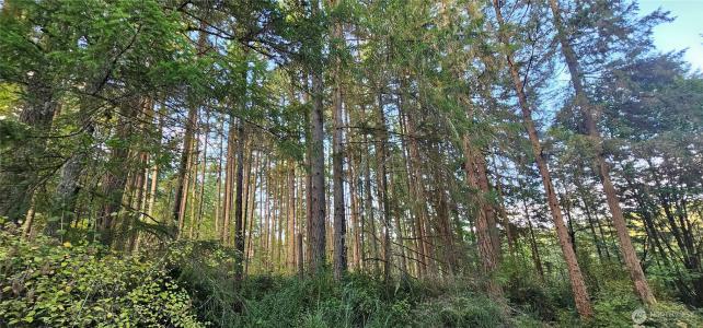 10115 Edgewood Drive, Anderson Island, וושינגטון 98303, ארצות הברית של אמריקה 