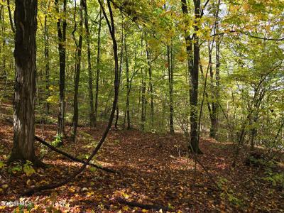 L25 River Road, Ticonderoga, NY 12883, USA