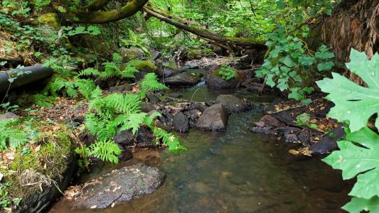 134 Boulder Street, Nevada City, California 95959, Estados Unidos