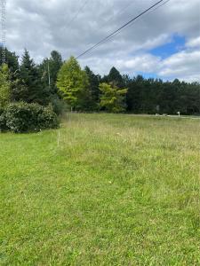 69 Preserve Drive, Fenton, Michigan 48430, HOA KỲ