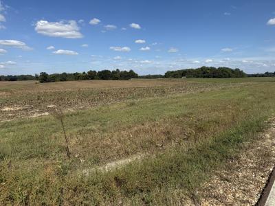 Claude Tucker Rd, Union City, Tennessee 38261, Stati Uniti