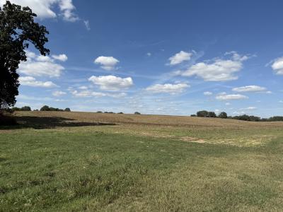 Claude Tucker Rd, Union City, Tennessee 38261, Stati Uniti