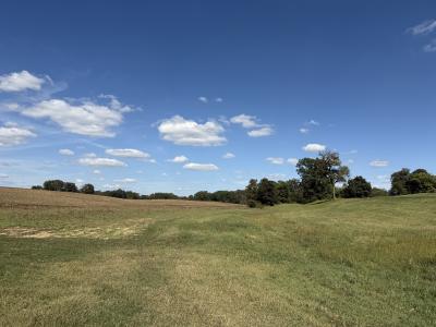 Claude Tucker Rd, Union City, Tennessee 38261, Stati Uniti