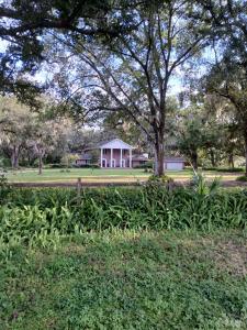 5151 Shakespeare Drive, Dover, 佛罗里达州 33527, 美国