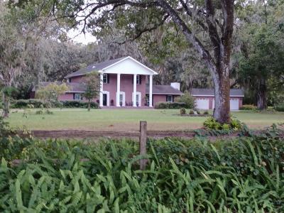 5151 Shakespeare Drive, Dover, 佛罗里达州 33527, 美国