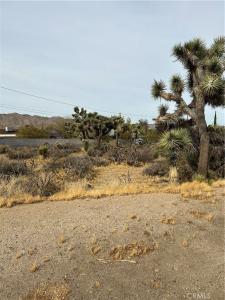 0 Piute Trail, Yucca Valley, 加利福尼亚州 92374, 美国
