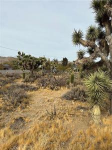 0 Piute Trail, Yucca Valley, 加利福尼亚州 92374, 美国
