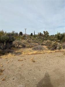 0 Piute Trail, Yucca Valley, 加利福尼亚州 92374, 美国