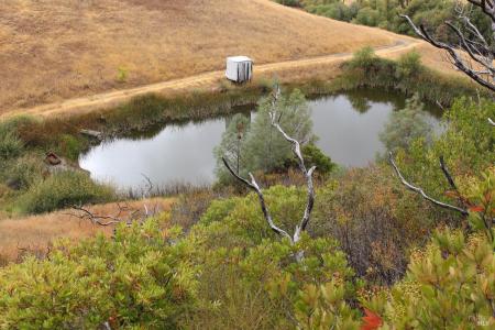 8740 Rocky Creek Rd, Lower Lake, California 95457