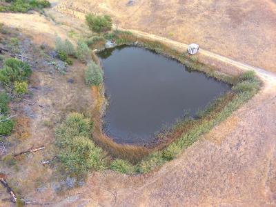 8740 Rocky Creek Rd, Lower Lake, California 95457