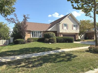 16401 Tanbark Drive, Tinley Park, Illinois 60477, USA