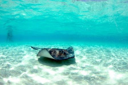 West Bay, Grand Cayman, Cayman Islands