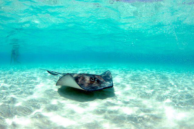 West Bay, Grand Cayman, Cayman Islands