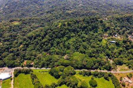 Dominical Bahía Ballena Osa, بونتاريناس 60601, كوستاريكا