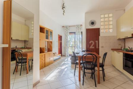 Via Madonna Pellegrina, Bareggio, Lombardia 20010, 意大利