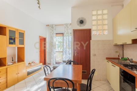 Via Madonna Pellegrina, Bareggio, Lombardia 20010, 意大利