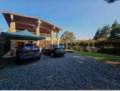 Medellín, אנטיוקיה 050017, קולומביה