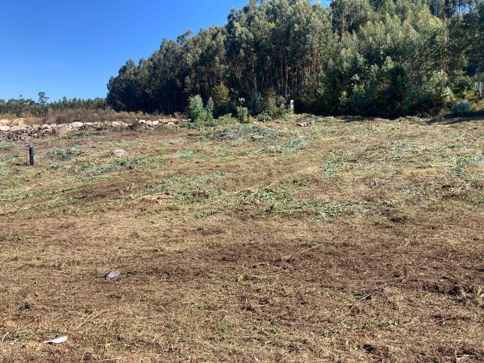 Penafiel, 波爾圖 4575-135, 葡萄牙