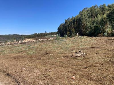 Penafiel, 波爾圖 4575-135, 葡萄牙