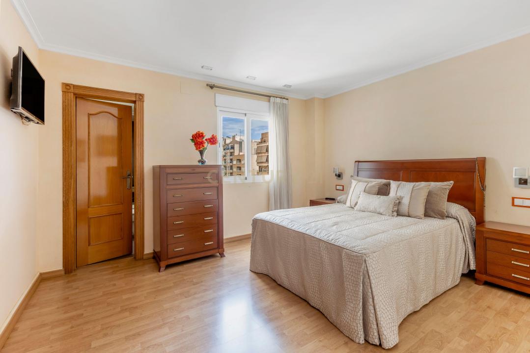 Alacant/Alicante, Comunitat Valenciana 03181, Hiszpania