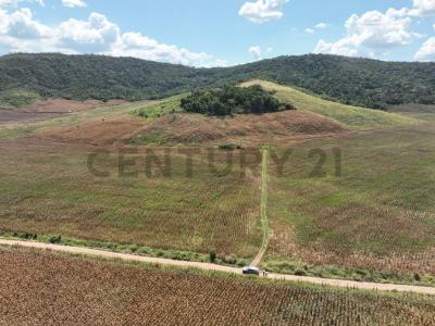 Ubic. Rur. Predio La Union U.C.31532 , Picota, San Martín 00001, Peru
