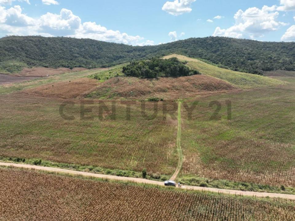 Ubic. Rur. Predio La Union U.C.31532 , Picota, San Martín 00001, Peru