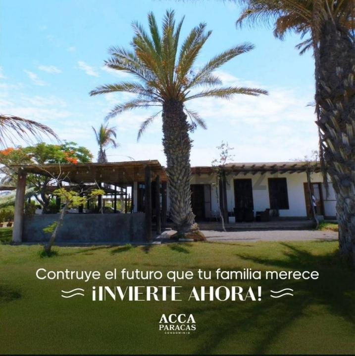 km 231 Panamericana Sur , Pisco, Ica 00001, 秘魯